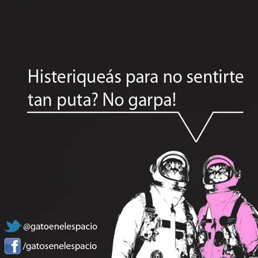 Gatos en el Espacio