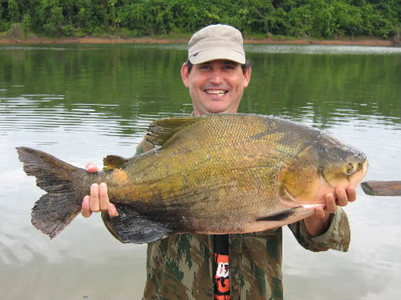 Peces alucinantes en el amazonas