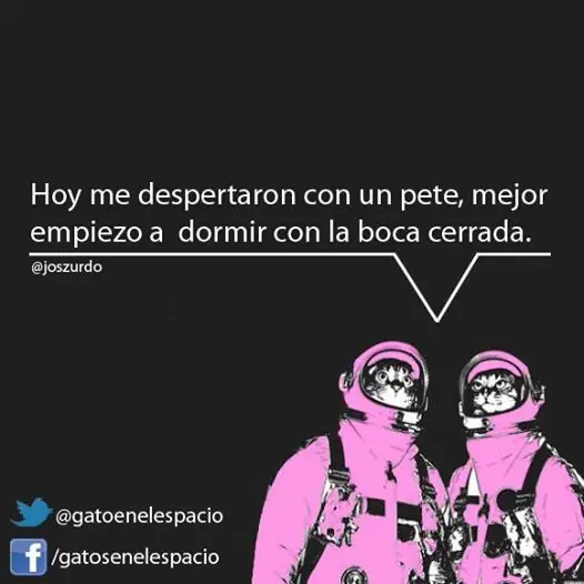 Gatos en el Espacio