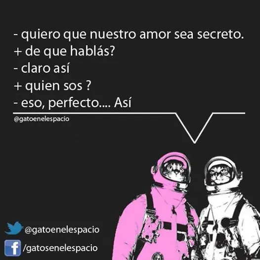 gatos