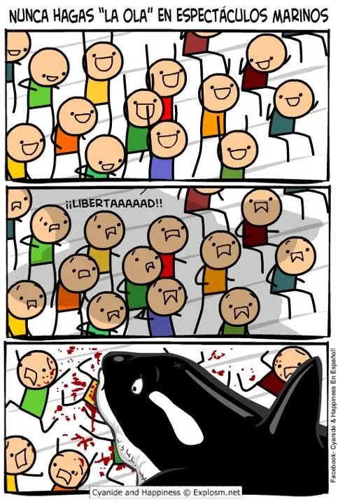 humor