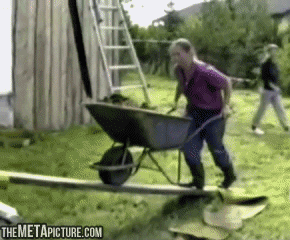 Wasted gifs