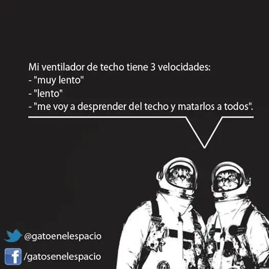 humor