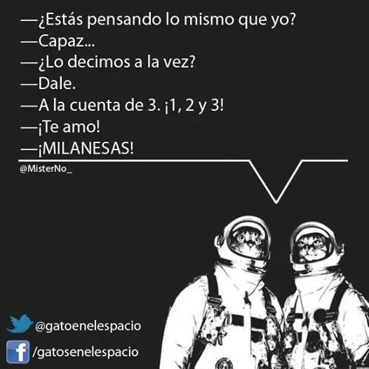 Gatos en el Espacio