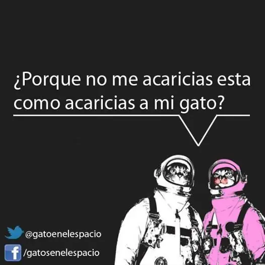 humor