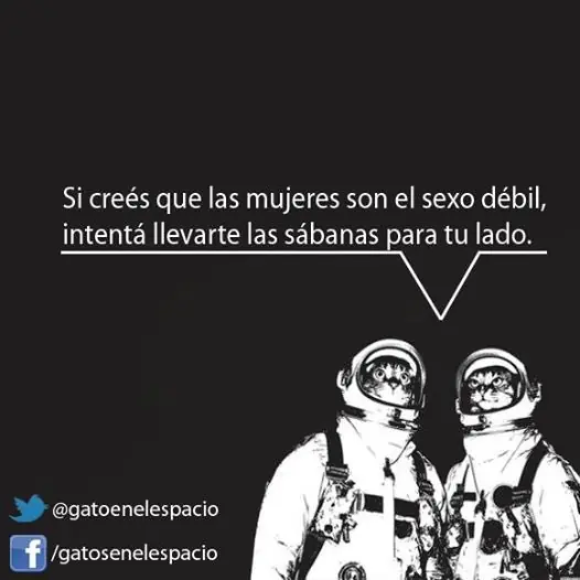 Gatos en el Espacio