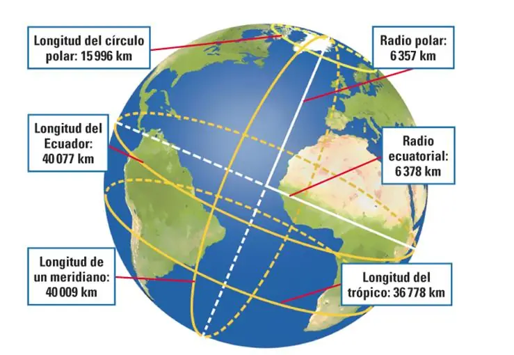 Curiosos