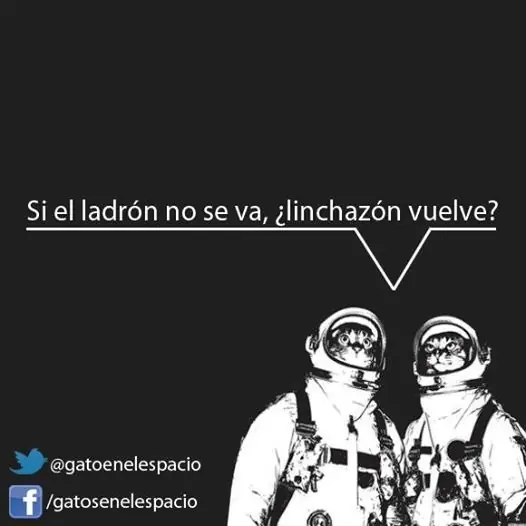 Gatos en el Espacio