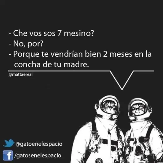 Gatos en el Espacio