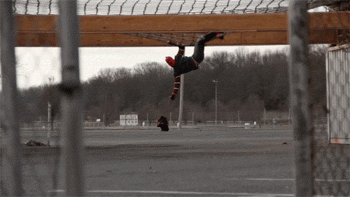 Rompiéndole las b.... a la esposa y otros gifs!