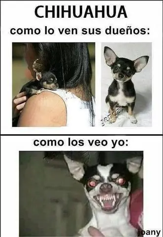 humor