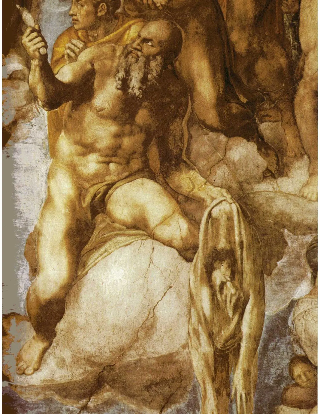 david