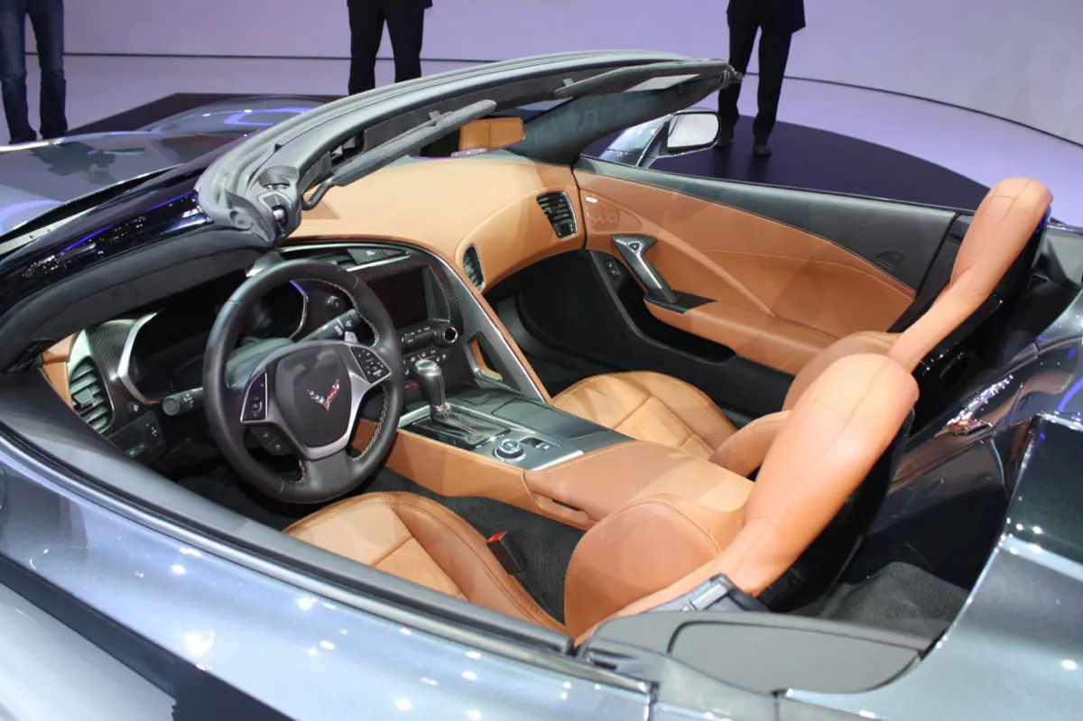 stingray