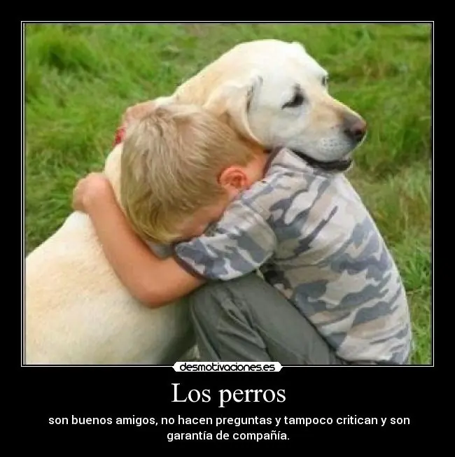 desmotivaciones