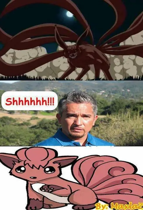 humor