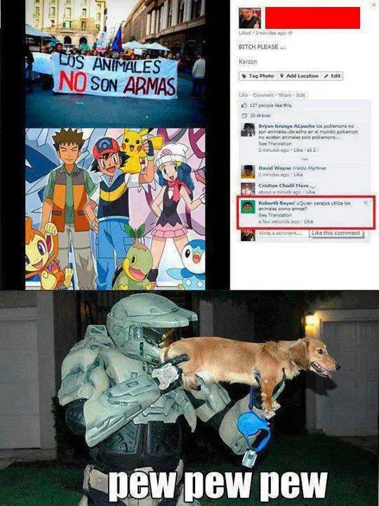 imágenes graciosas 2da parte