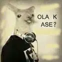 imagenes