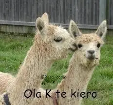 imagenes