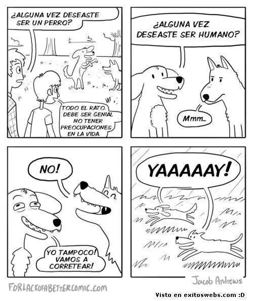 imágenes graciosas 2da parte