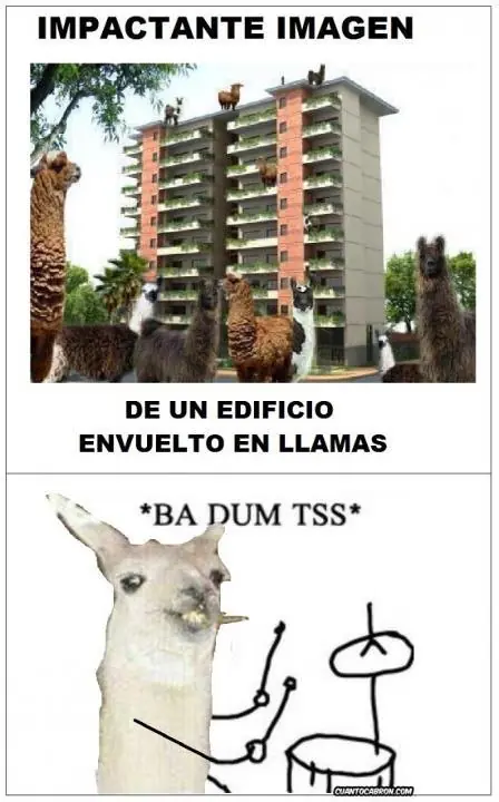 imagenes
