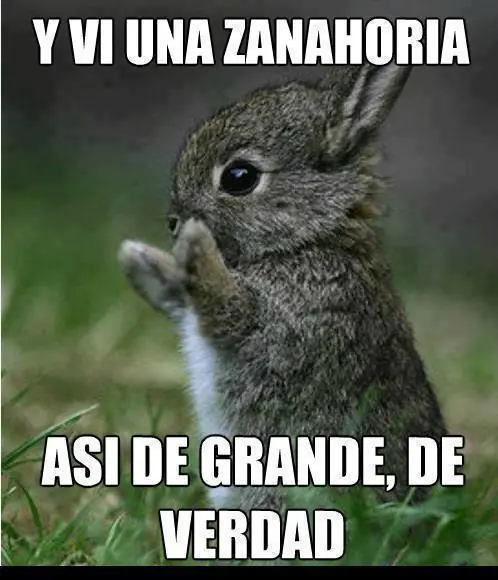 graciosas
