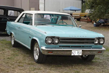 muscle