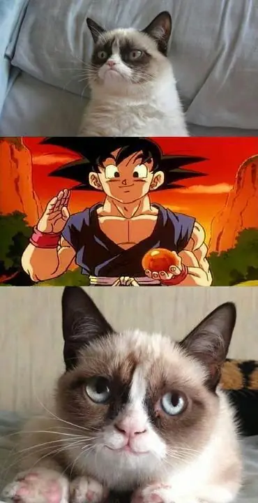 humor