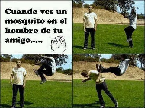 imágenes graciosas 2da parte