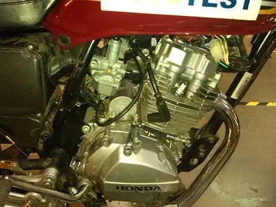delantera