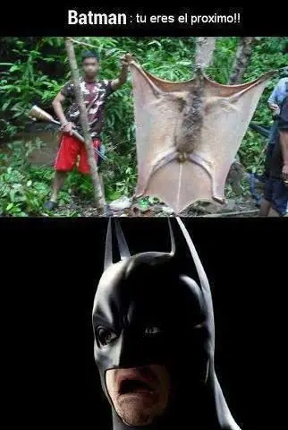 humor