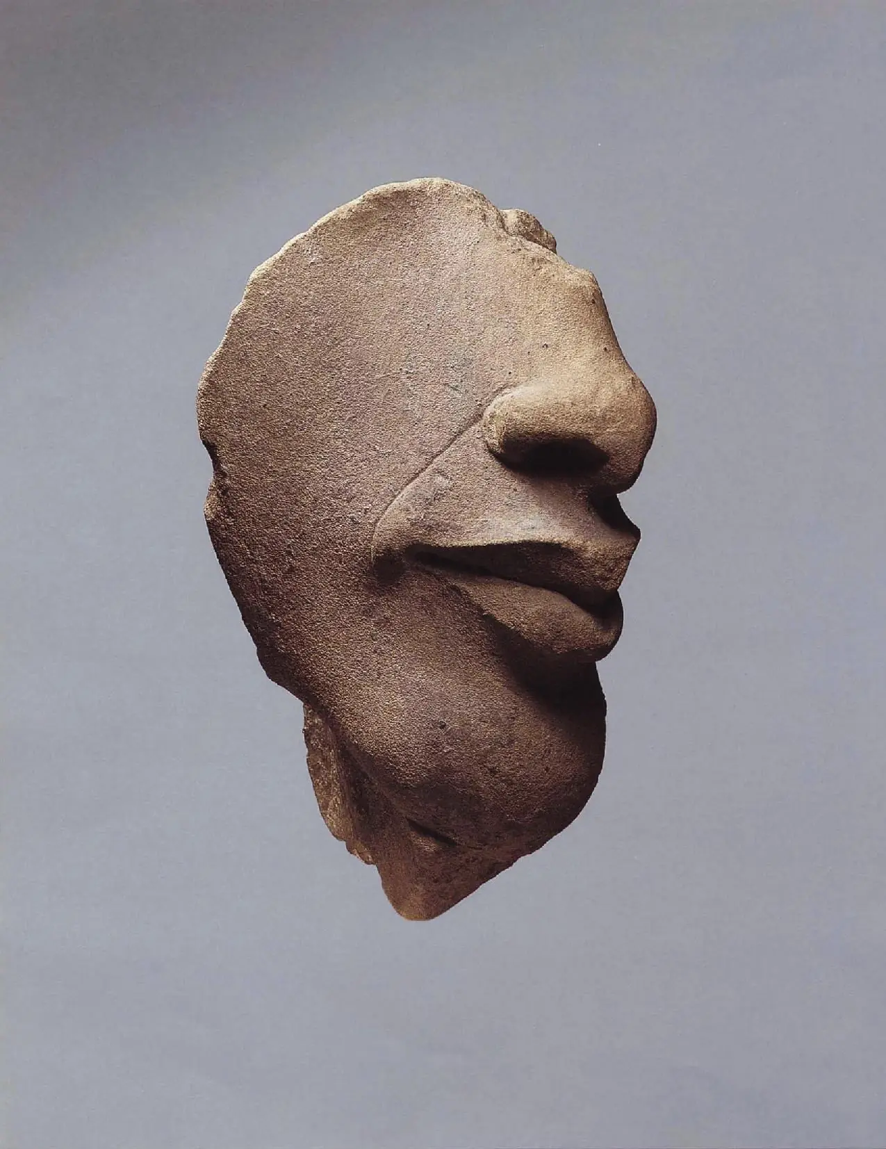 Busto