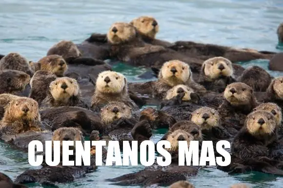 curiosidades