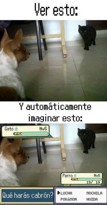 risas