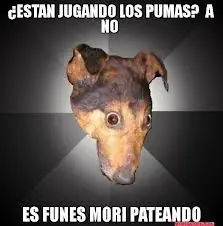 feliz