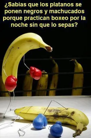 risas