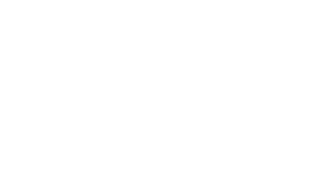 lapiz