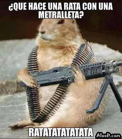 graciosas