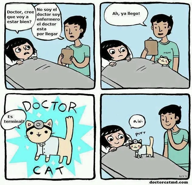 risas