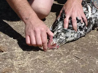 10 cosas muy sorprendentes