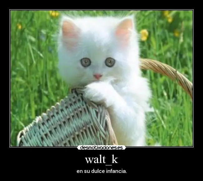 humor