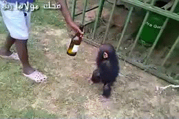 el codigo del verdadero varon (gifs)