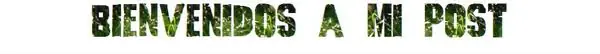 Cascos personalizados