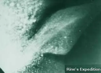 El monstruo del lago ness: ¿realidad o ficción?