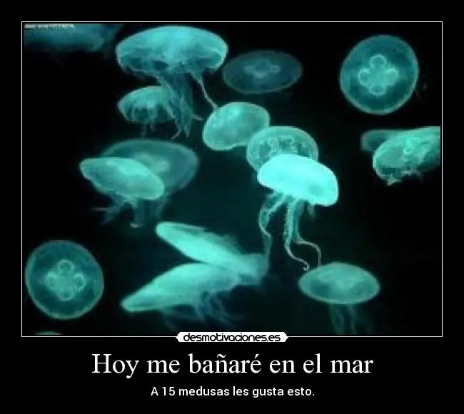 humor