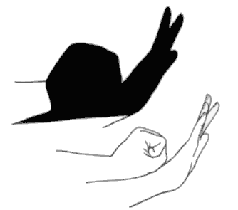 como hacer sombras con las manos =)