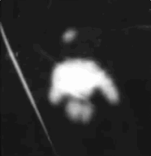 Curiosidades de Cine +5 si no las conocían