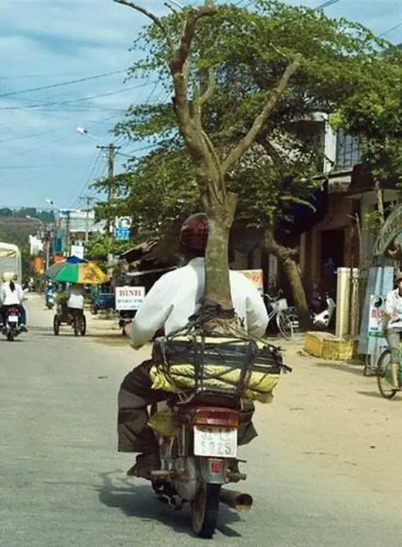 tu vieja en tanga