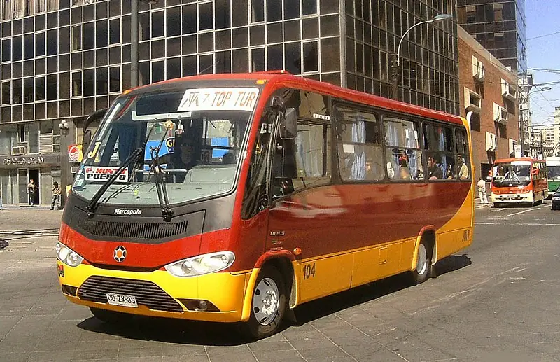 colectivos