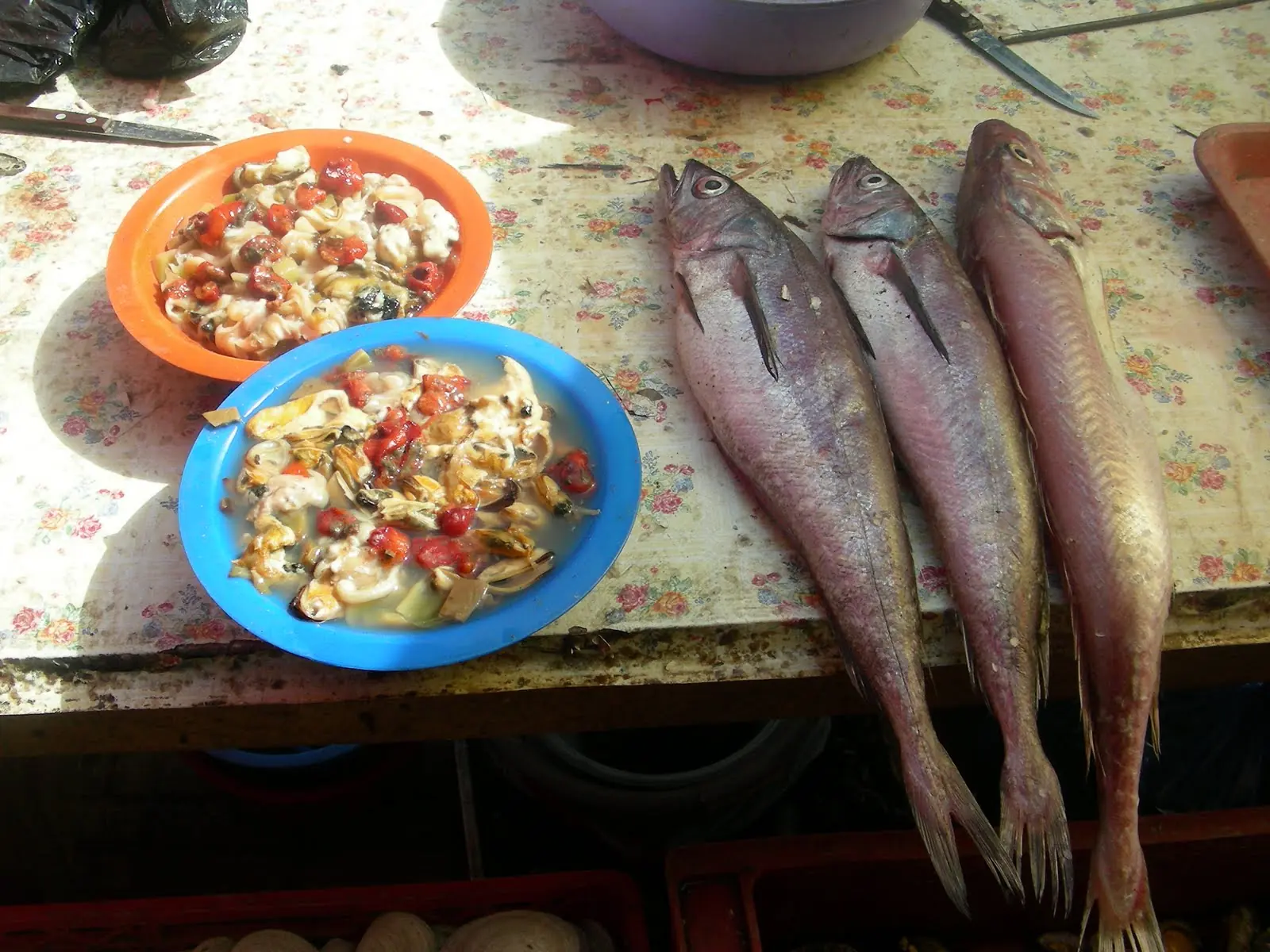 pescados