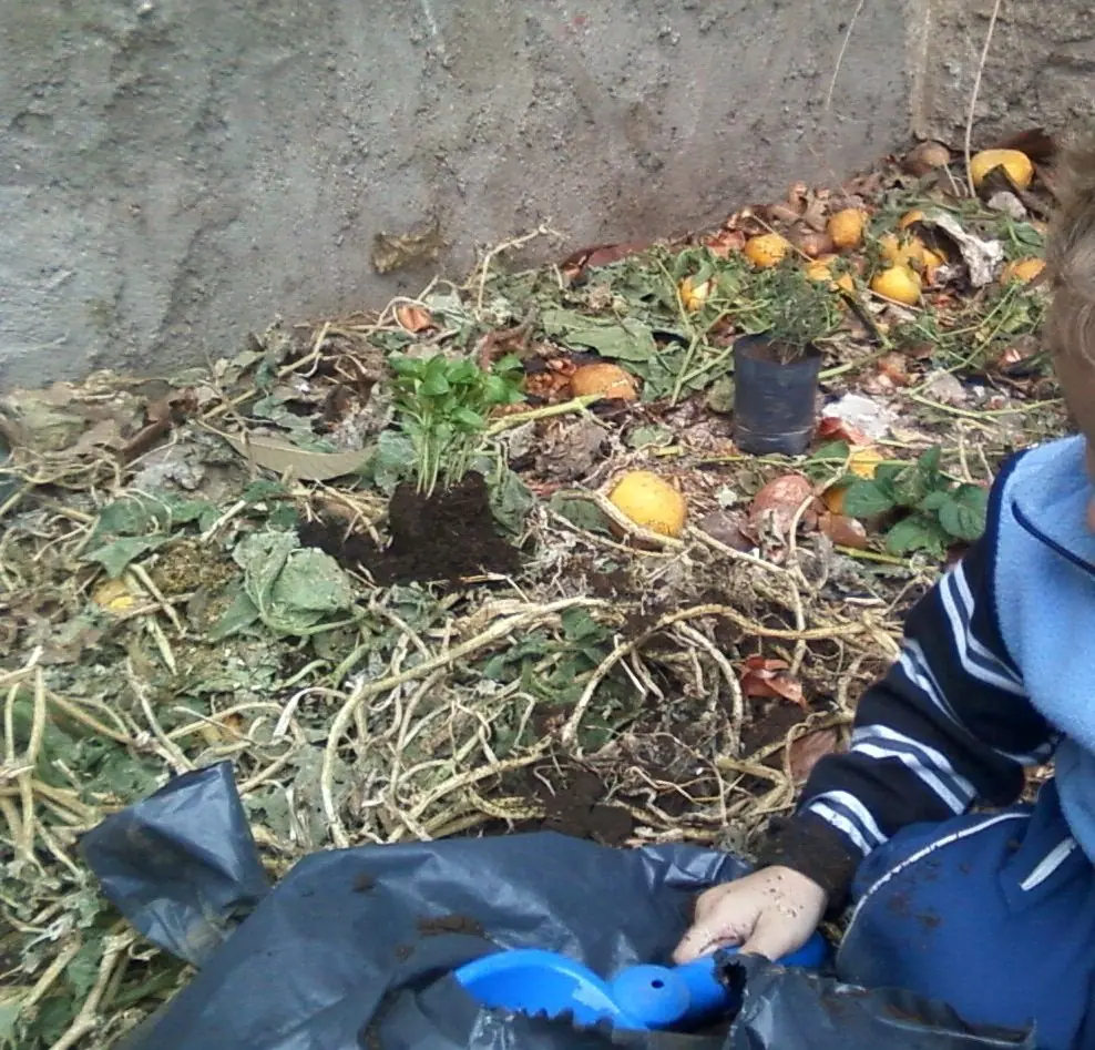 agua